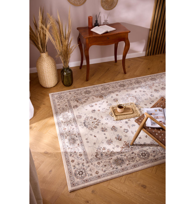 Koberec RAGOLLE Da Vici 57397 6265