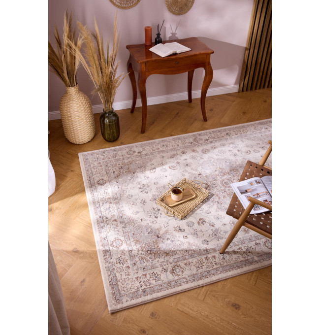 Koberec RAGOLLE Da Vici 57454 6265