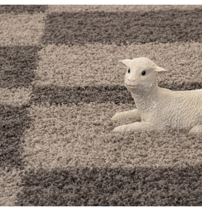 Koberec Gala kruh, hnědý / béžový