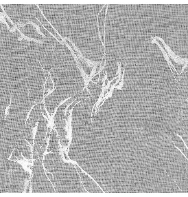 Hotová záclona ALINA bílá / stříbrná - na pásce