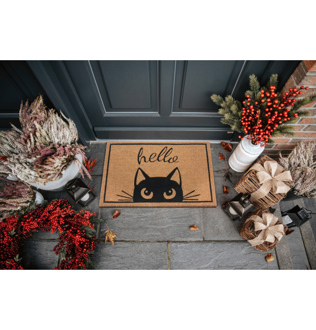 Rohožka Hanse Home Mix Mats Watching Cat