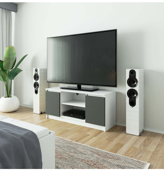 Stolek pod TV RTV 120 2D 1P bílý / šedý