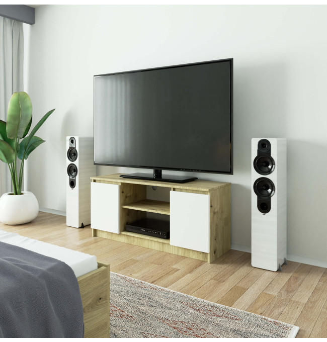 Stolek pod TV RTV 120 2D 1P dub artisan / bílý