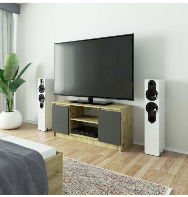 Stolek pod TV RTV 120 2D 1P dub artisan / šedý