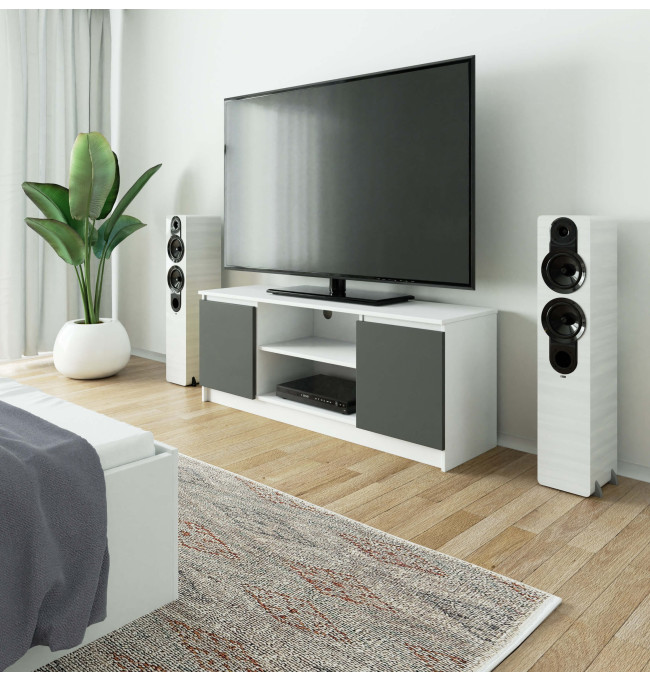 Stolek pod TV RTV 140 2D 1P bílý / šedý