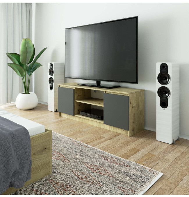 Stolek pod TV RTV 140 2D 1P dub artisan / šedý