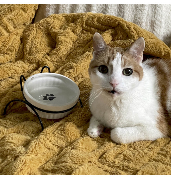 Miska CATTY bílá na kovovém stojanu 848563