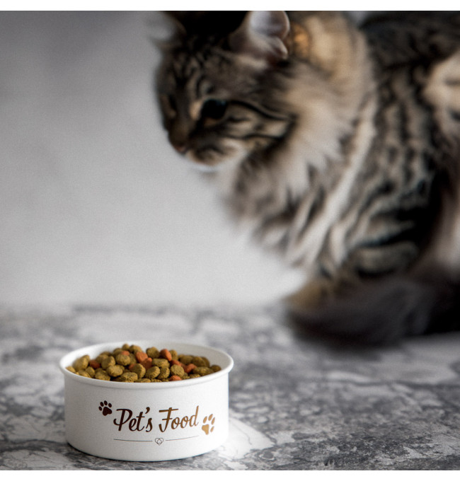 Miska pro zvířata DINGO 873589 0,5 l