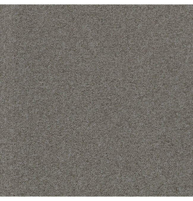 Kobercové čtverce TESSERA TEVIOT latte 50x50 cm