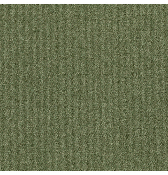 Kobercové čtverce TESSERA TEVIOT olivové 50x50 cm