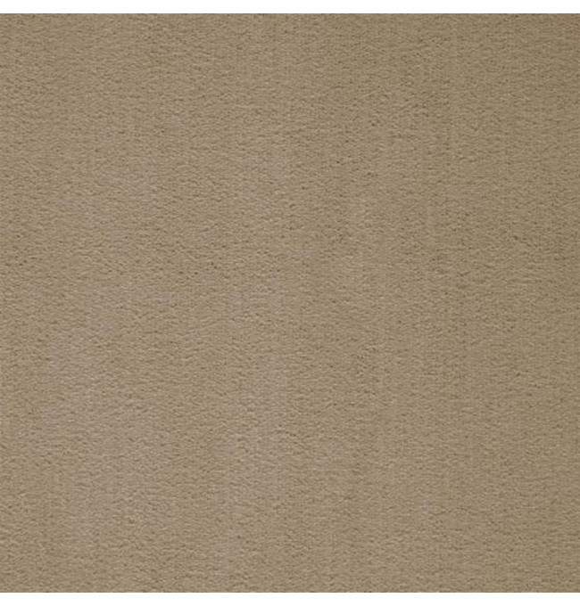 Metrážový koberec PROMINENT světle hnědý