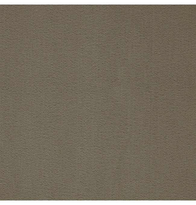 Metrážový koberec PROMINENT tmavě béžový