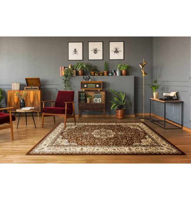 Koberec ROYAL AGY 0521 hnědý