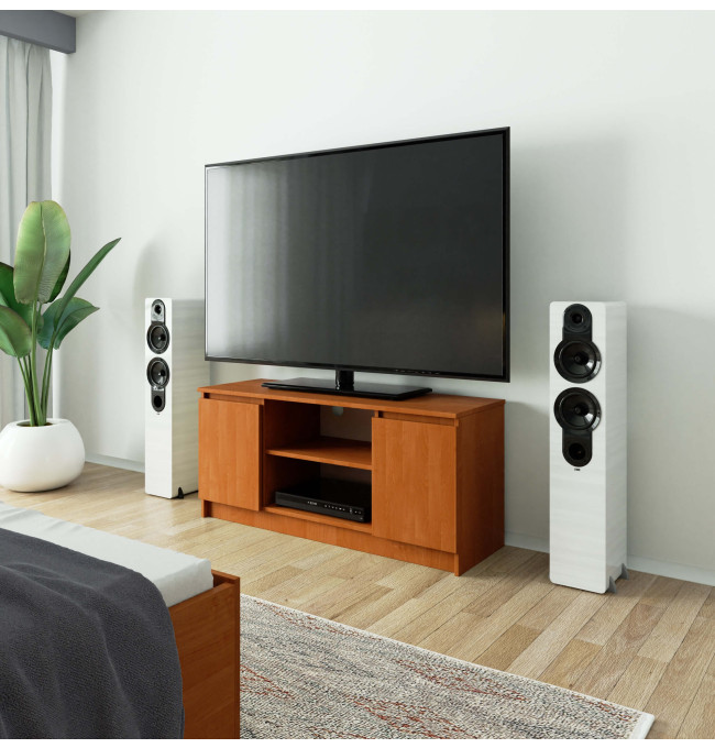 Stolek pod TV RTV 120 2D 1P olcha