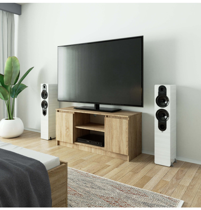 Stolek pod TV RTV 120 2D 1P sonoma