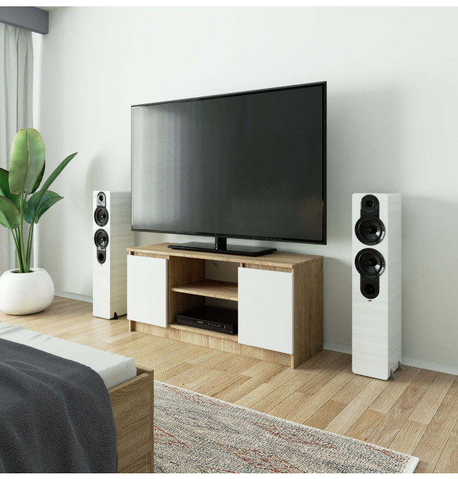Stolek pod TV RTV 120 2D 1P sonoma / bílý