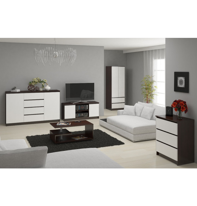 Stolek pod TV RTV 120 2D 1P wenge / bílý