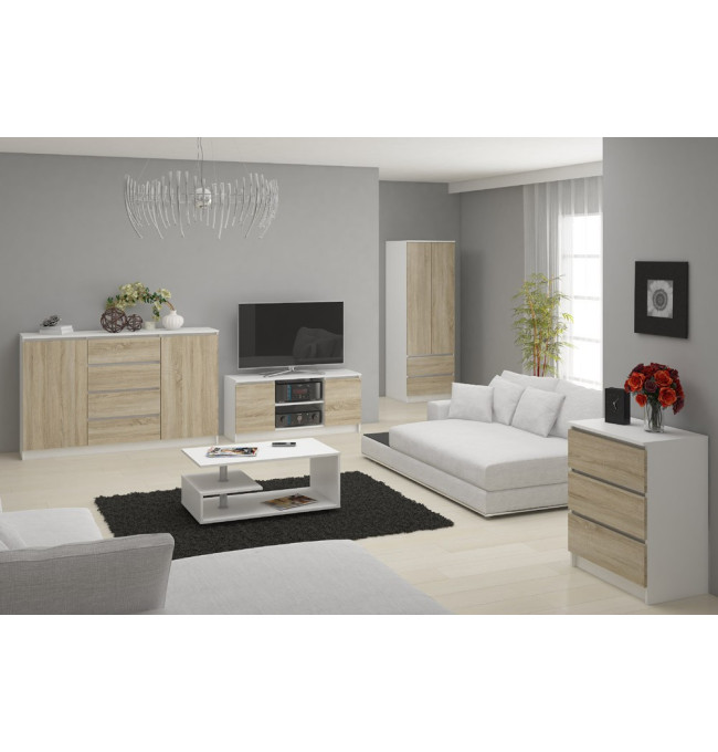 Stolek pod TV RTV 140 2D 1P bílý / sonoma