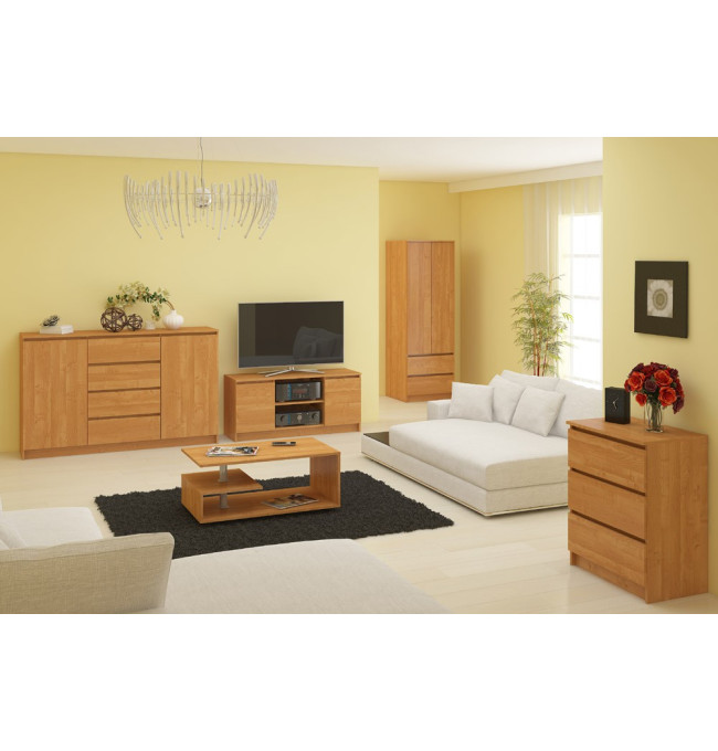Stolek pod TV RTV 140 2D 1P olcha