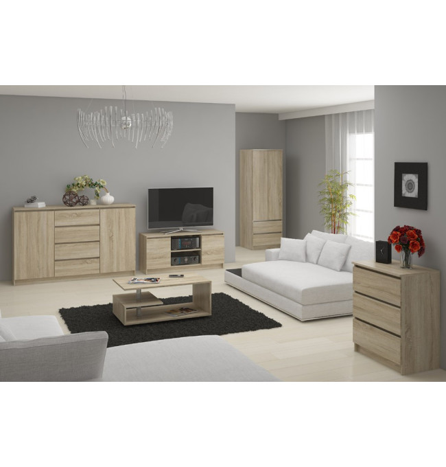 Stolek pod TV RTV 140 2D 1P sonoma