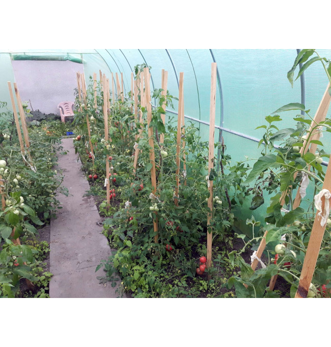 Zahradní skleník AUREA zelený 2x3,5 m