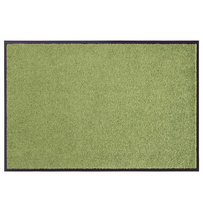 Rohožka Hanse Home Wash & Clean zelená