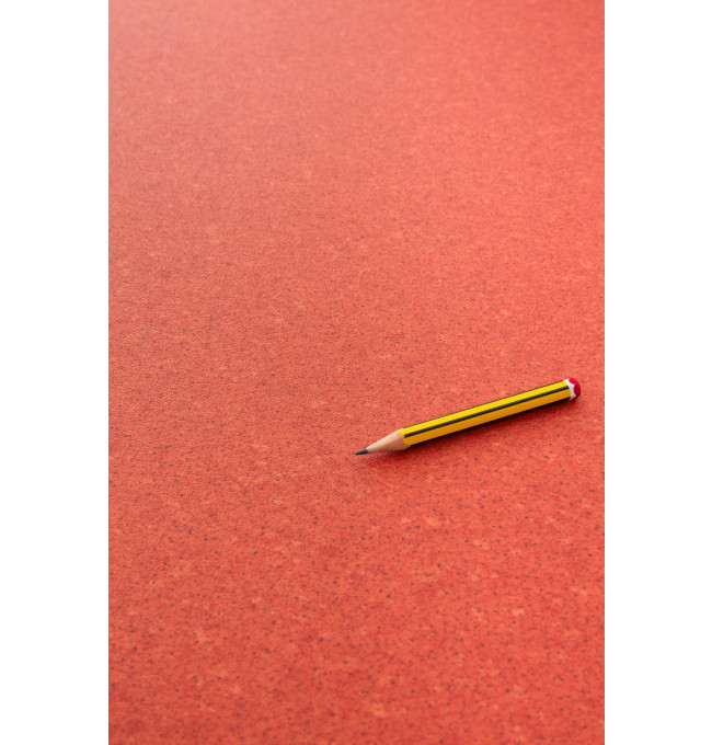 PVC podlaha Lentex Ranger 60309