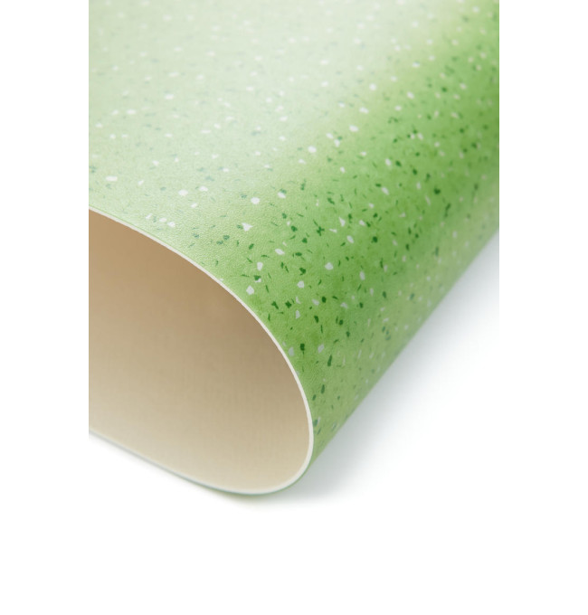 PVC podlaha Lentex Voyager Nxt Basin M25 55219