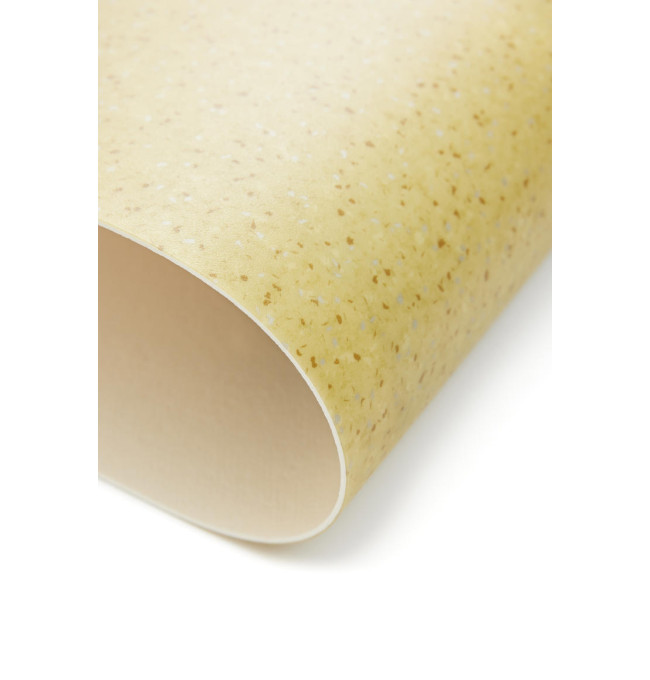 PVC podlaha Lentex Voyager Nxt Basin.M55 55220